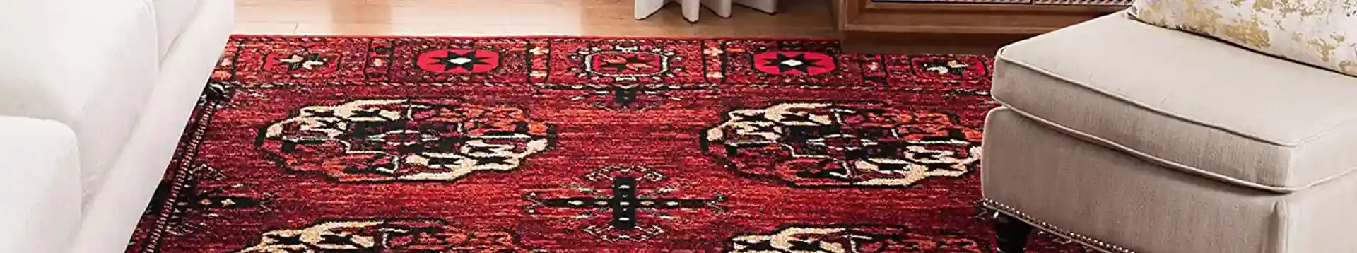 Rug Cleaning Video Gallery, Fort Lauderdale