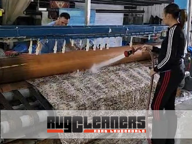 Area Rug Cleaners
