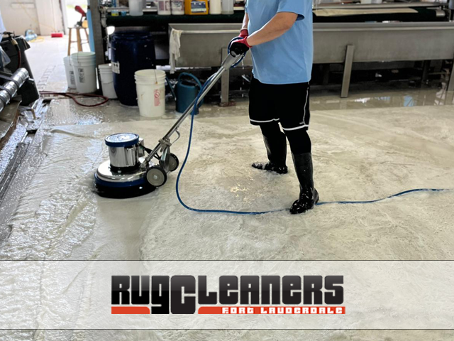 Expert Antique Rug Cleaners Service