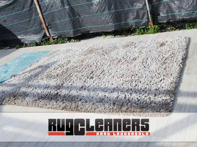Expert Area Rug Cleaners Service