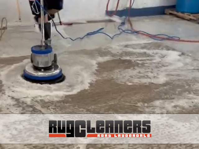 Professional Pet Odor & Stain Removal