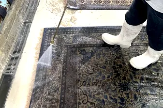 Area Rug Cleaning